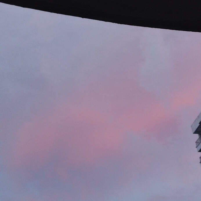 I WILL stay dedicated to this pfp